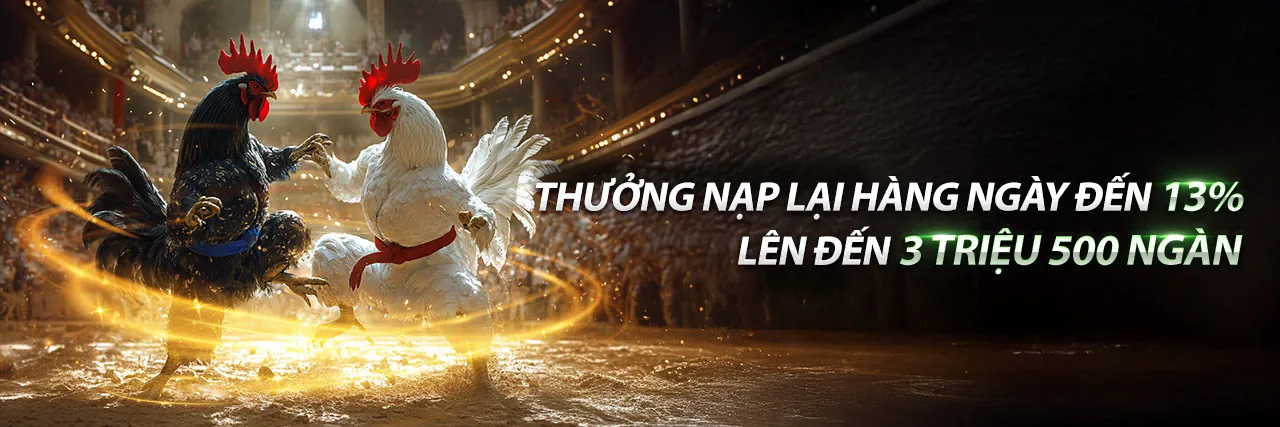 Hình ảnh cá cược thể thao sôi động tại K89BET