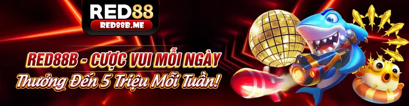 Hình ảnh tổng quan về tin tức k89bet